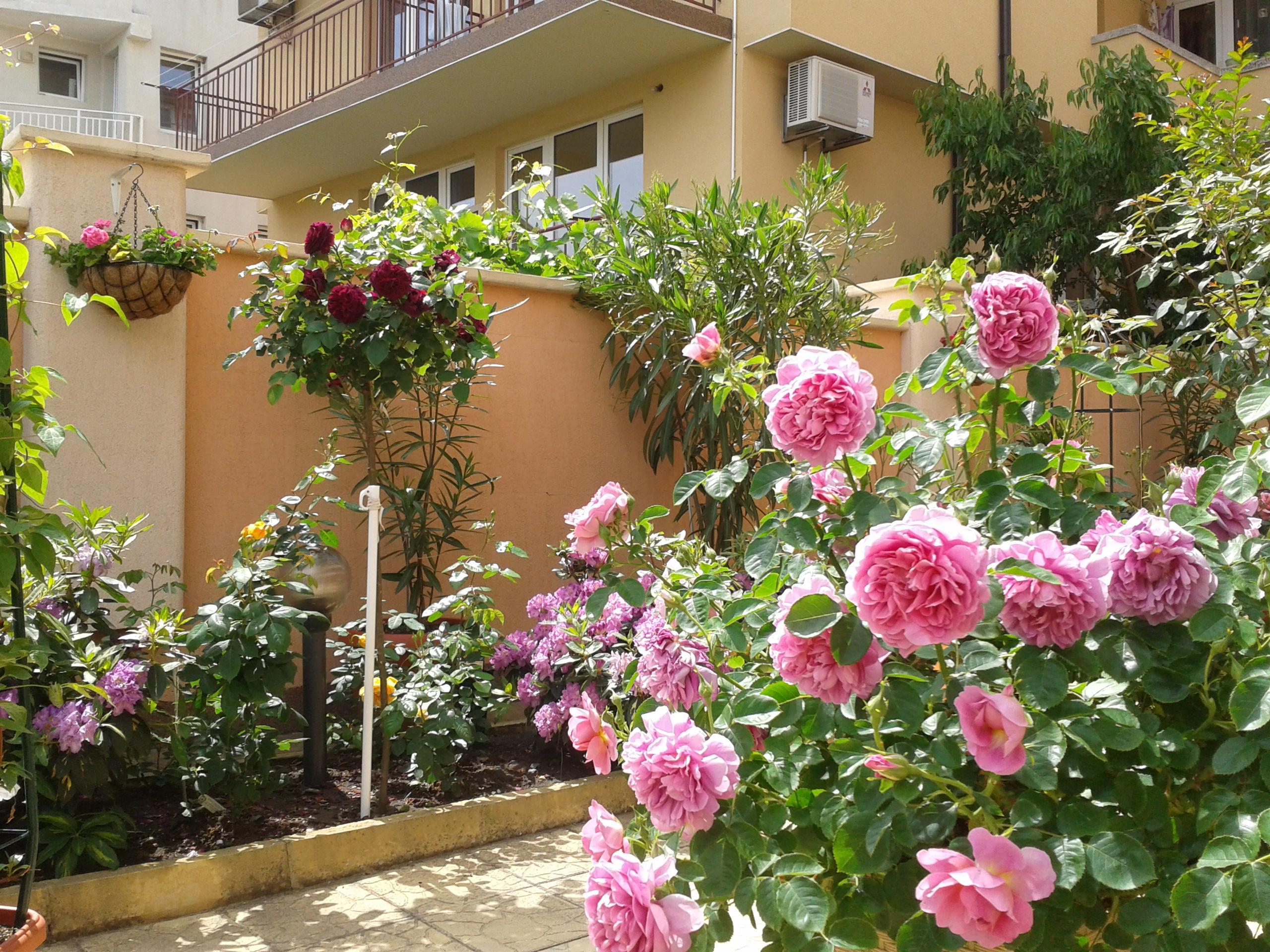 Hotel Chuchulev Sozopol Exterior foto